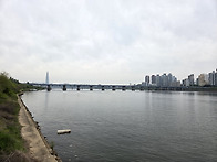 20250505 서울숲