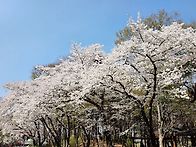 서울 대공원 트레킹(이웃남..