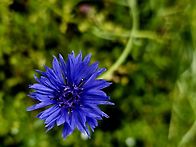 ♤ "한강 수변길 & 서울숲..