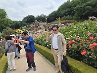 부천 백만송이 축제