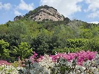 불암산 철쭉동산 트래킹 ..