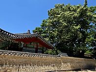 창경궁ㆍ창덕궁 (이웃남 ..