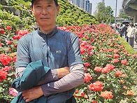 장미 축제