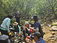 수락 계곡산행