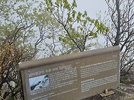 25.5 /3(토) 축령산 우중..