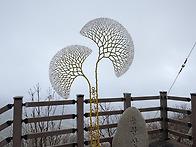 26.3.31.용문산의 발자취