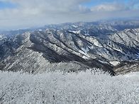 겨울산행의 백미, 눈꽃에 ..