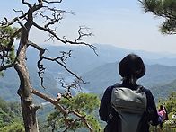 2026, 05, 24, 오봉산 ..