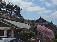 [250415]해피찰칵..