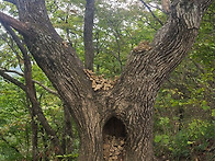 단양소백산 산행