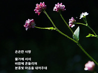 은은한 사랑 (고마리)