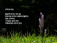추억과 인내(무릇)
