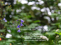 사랑의 기다림