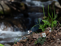 무주 적상산에서