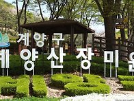 6월 8일 토요일 인천 계양..