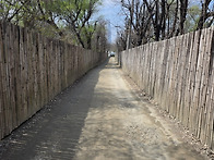 ♤ 5월 넷째주 토요일 트..