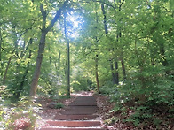 모락산(740회 공지) ▣산..