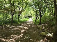 산 행 지 : 안양예술공원,..