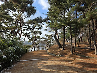 2월 14일 둘째주 토요일(..