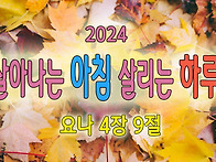 [2024 살아나는아..