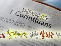[2026 살아나는 ..