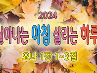 [2024 살아나는아..