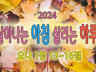 [2024 살아나는아..