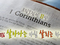 [2026 살아나는 ..