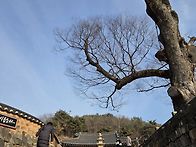 새해처음. 내고향에있는 ..