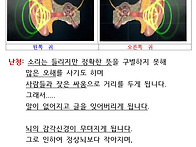 난청 더 이상 늦추..