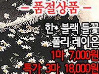 [ps50503-6718]한* 블..