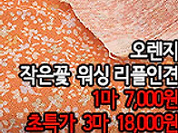 [ro50517-6773]오렌지 ..