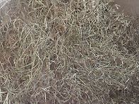 붉은 팥 (적두) 알땅콩 수..