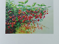 22국제우수작가초대전-보리..