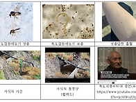 70년간 독도경비대..