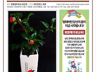 대전야학 한밭향토..
