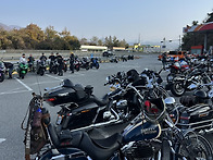 25.11.9. 강천섬..