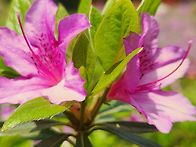 군포철축동산26/4/29/월..