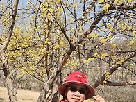 한강버스 타고 힐링하시길