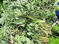 26년4월1일ㆍ화요일