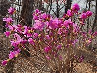 26년3월28일ㆍ토요일