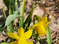 26년3월21일(토)수종폭포 ..