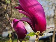 26년4월5일ㆍ토요일ㆍ현충..