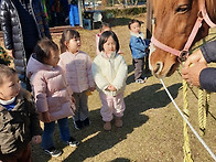 대파니 마을에는~..