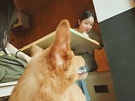 빈스타 게시물 업로드..