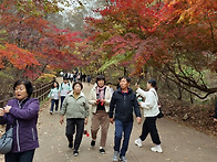 가야산 소리길 기행