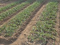 3月의 우리농장