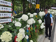 진주 월아산 수국정원/ 진..