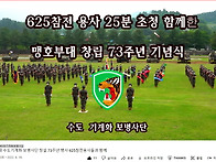 ★★맹호부대 수도..