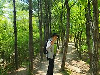 곁다리로 몇장...